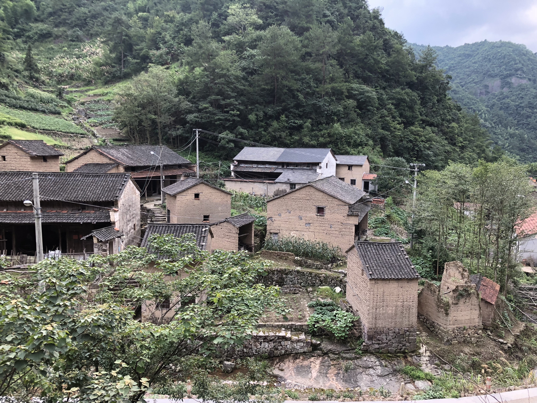 尊龍凱時集團舉行“千企結千村 消滅薄弱村”鄉村基金設立暨村企結對簽約儀式