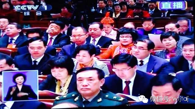 【關注全國兩會】李藝連代表參加十二屆全國人大二次會議第二次全體會議